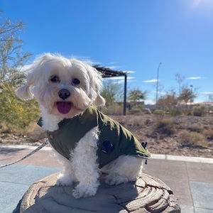 Meet your Posher, Grace